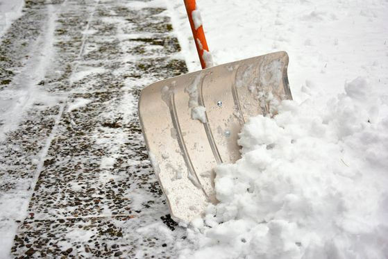 BAM Clean Winterdienst